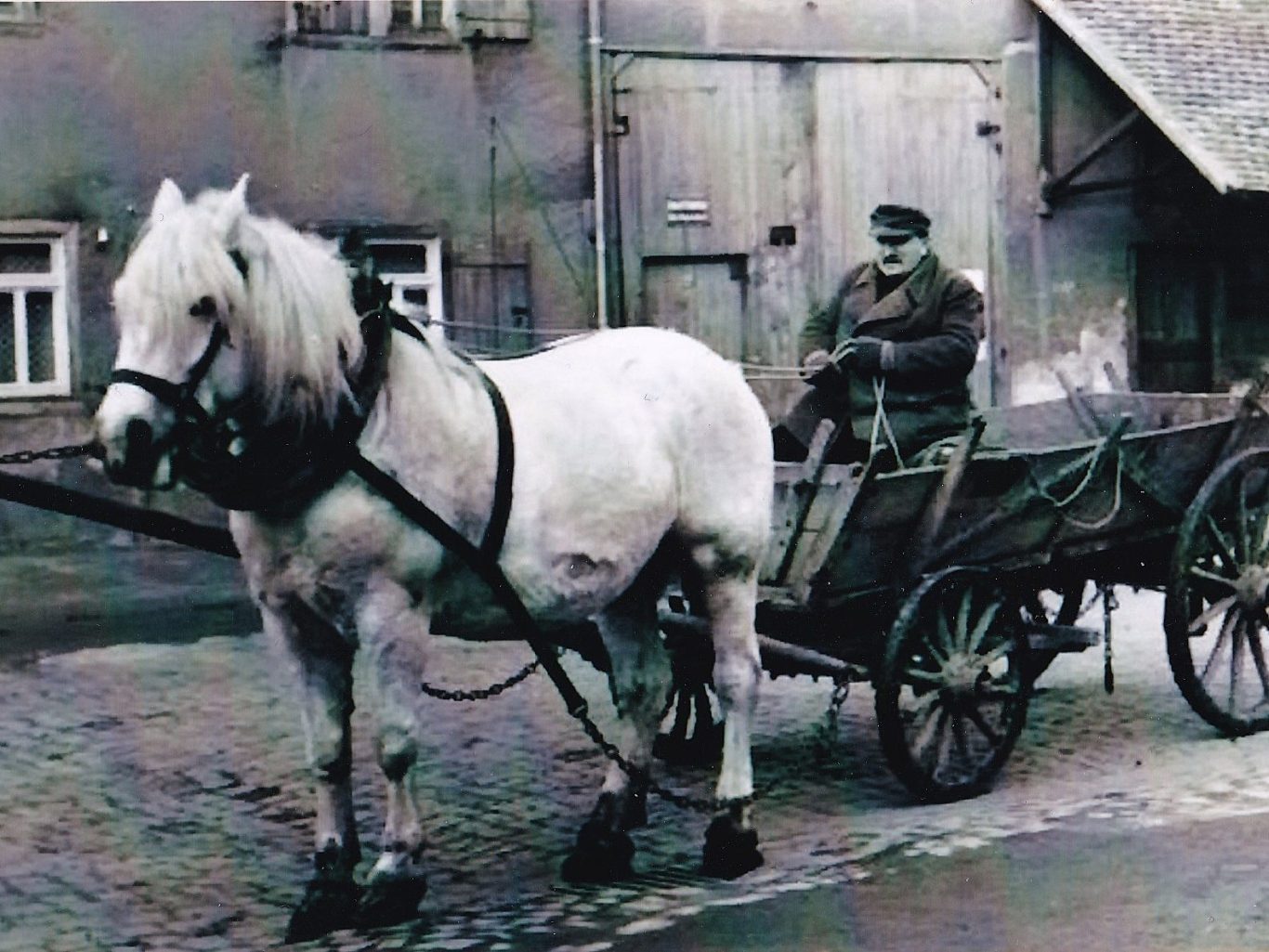 Trebur- Geschichte und Geschichten Geschichte und Geschichten aus Trebur, auf 264 Seiten anschaulich dokumentiert mit Bildern, Zeitzeugnissen und Artikeln verschied. Autoren