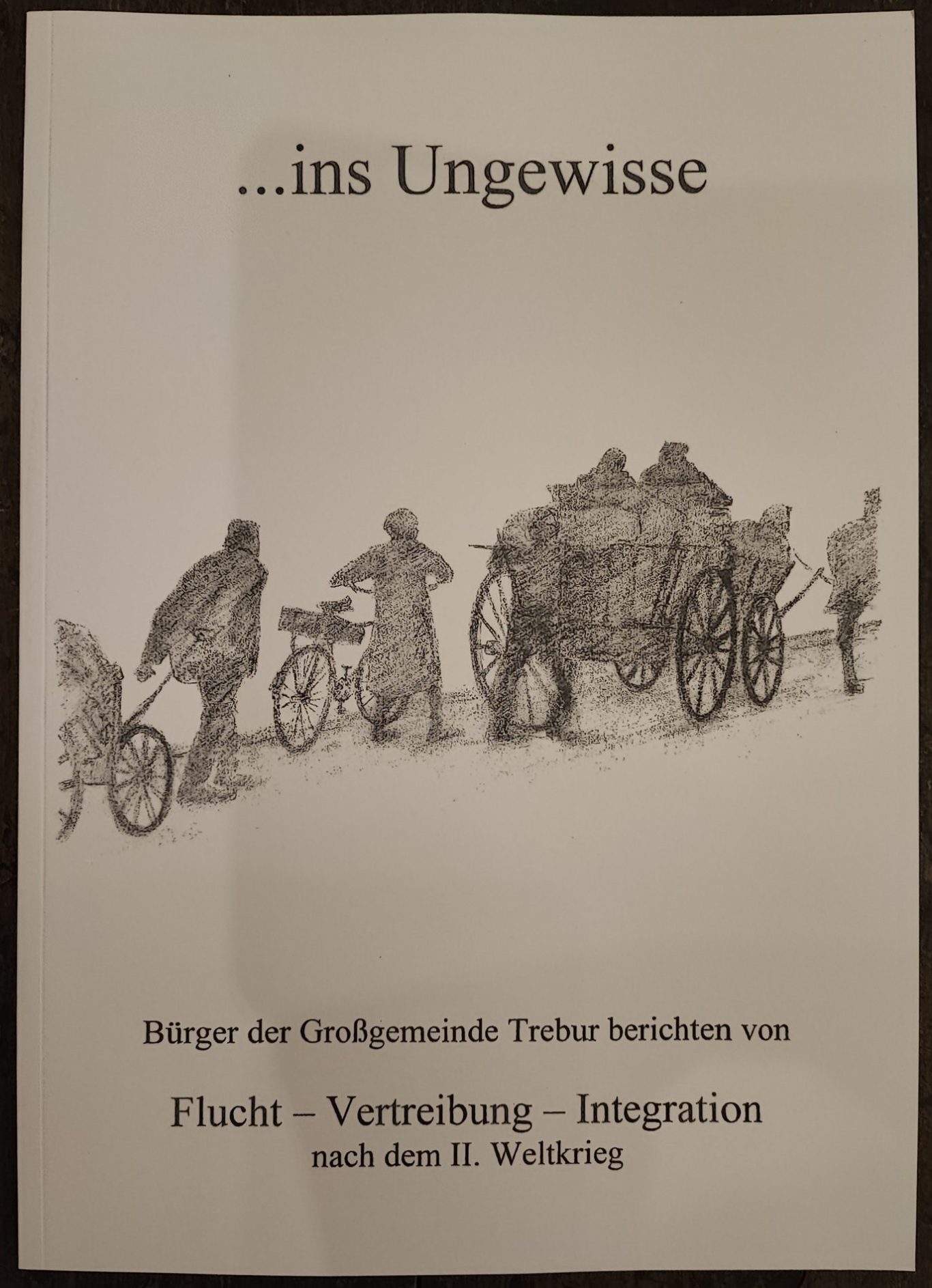 Flucht - Vertreibung - Integration